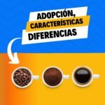 cafe especialidad vs comercial