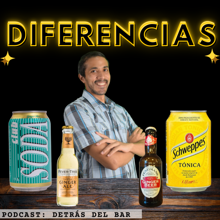 soda tonica ginger ale y ginger beer