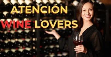 El mundo del Vino 1 VIno