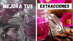 extracciones 1