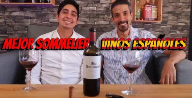 El mundo del Vino 2 hq720