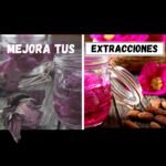 infusión vs maceracion