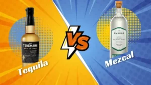 mexcalvstequila 1